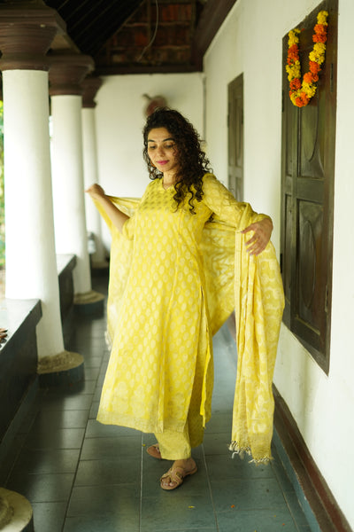 Vibha - Banarasi Feeding Salwar suit set